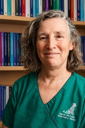 Helen McCabe