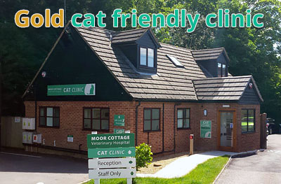 Moor Cottage Veterinary Hospital In Binfield Bracknell