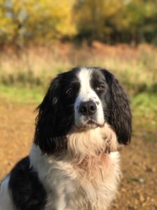 Braveheart of them month, bracknell vets