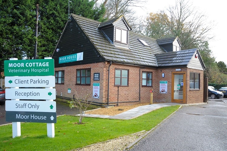 bracknell-vets-goes-plastic-free