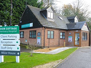 bracknell-vet--plastic-free