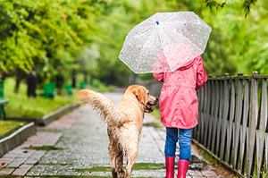 pet-behaviour-moor-cottage-vets