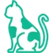 icon service cat clinic