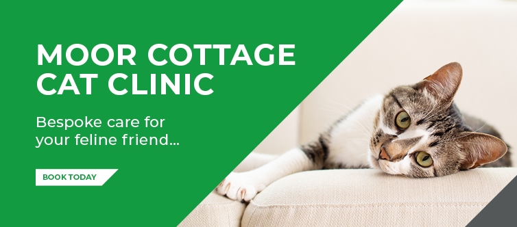 Register Your Pet with Moor Cottage Veterinary Practice in Bracknell