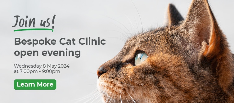 Moor Cottage Veterinary Practice Terms and Conditions
