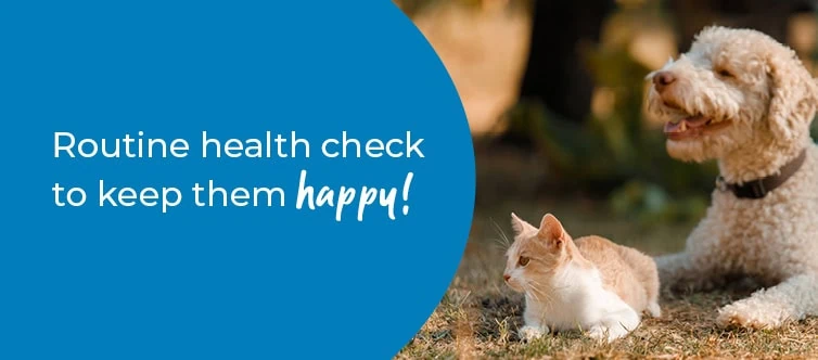 Pet Health Check in Bracknell | Preventative Vet Care