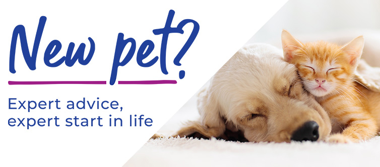 Puppy & Kitten Advice