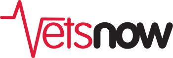 vetsnow logo