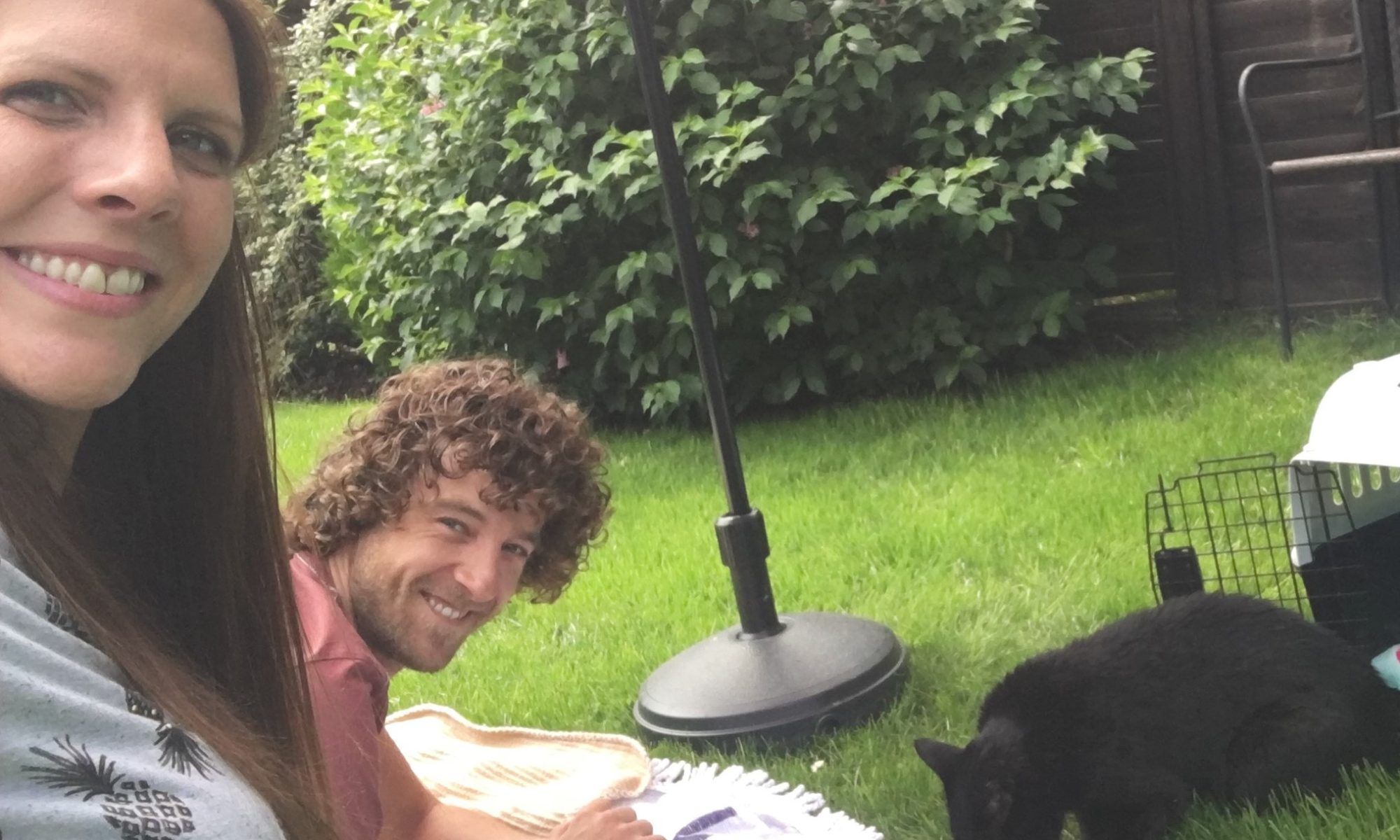 Curious tale of Molly the much-loved missing moggy who came home to die