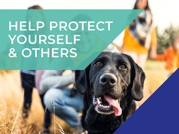 moor cottage corona virus update