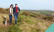 How to show your pet affection