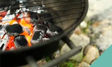 Barbecue dangers to pets